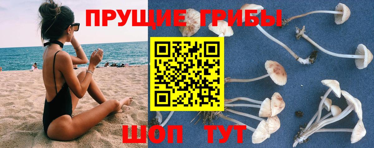 Псилоцибиновые грибы Magic Shrooms Куйбышев